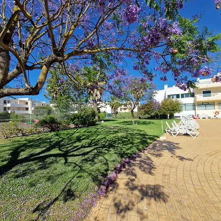 公寓 Dunas In Center, Pool And Parking